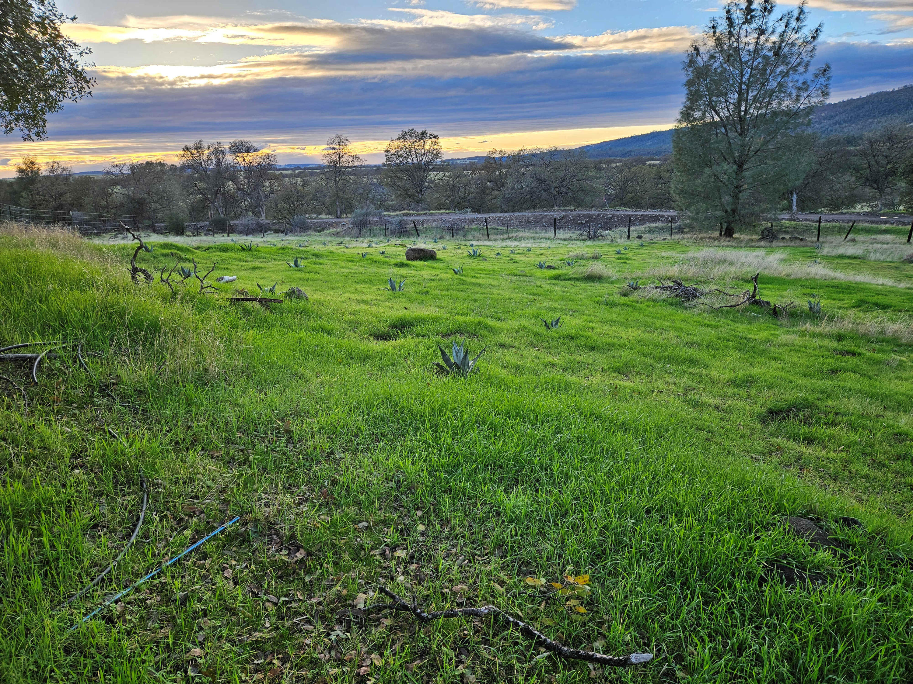 21675 Wildcat Road Shingletown, CA 96088 - Photo 32 of 65 a view of an outdoor space with a lake view