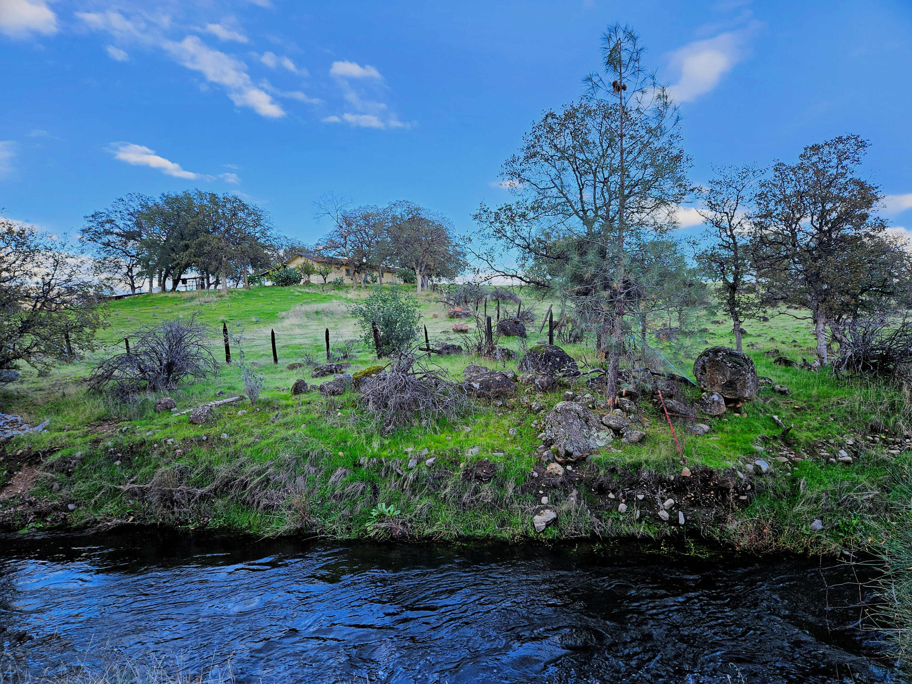 21675 Wildcat Road Shingletown, CA 96088 - Photo 34 of 65 a view of a garden with a building in the background