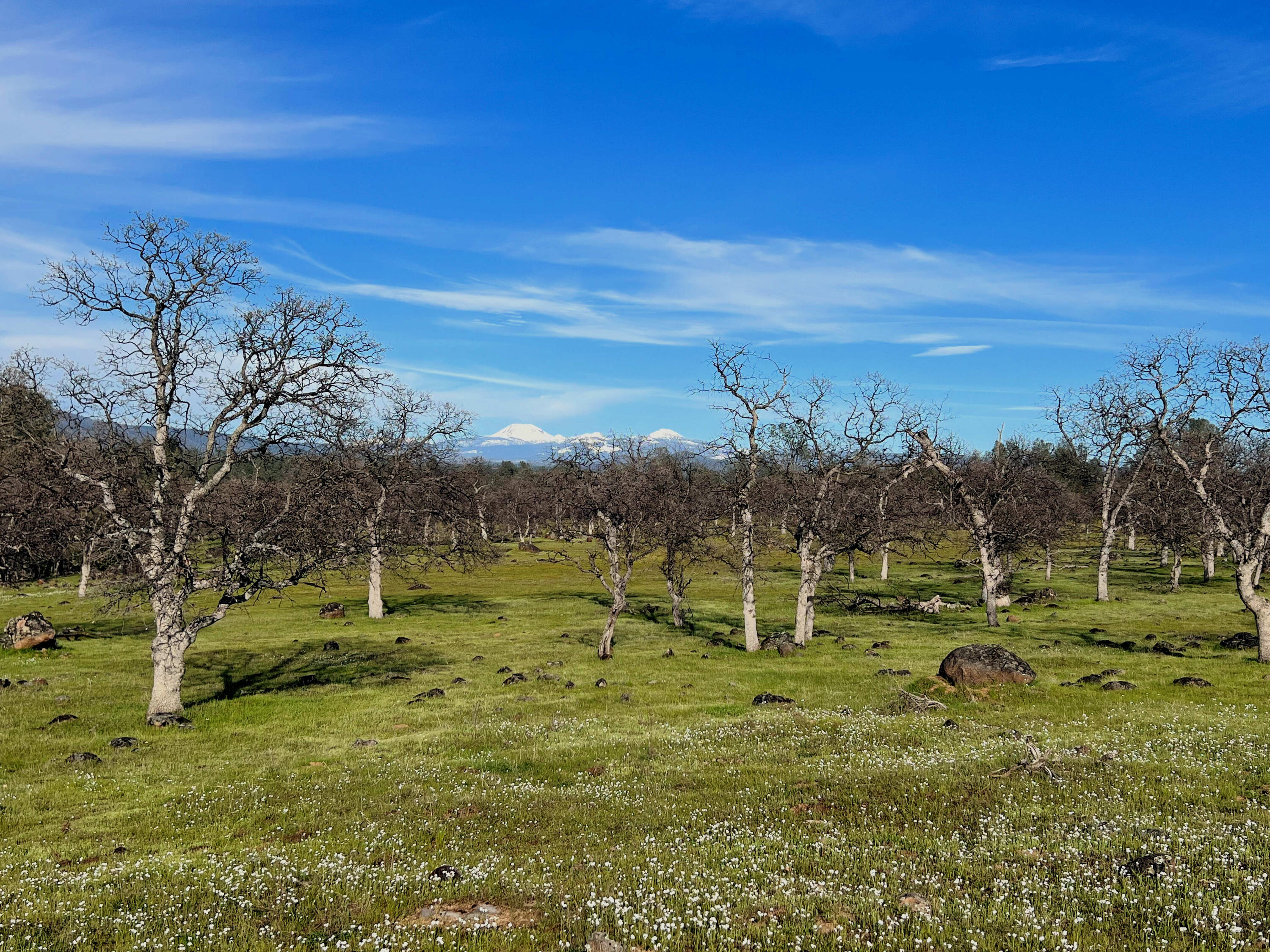 21675 Wildcat Road Shingletown, CA 96088 - Photo 40 of 65 Mt Lassen and Oaks