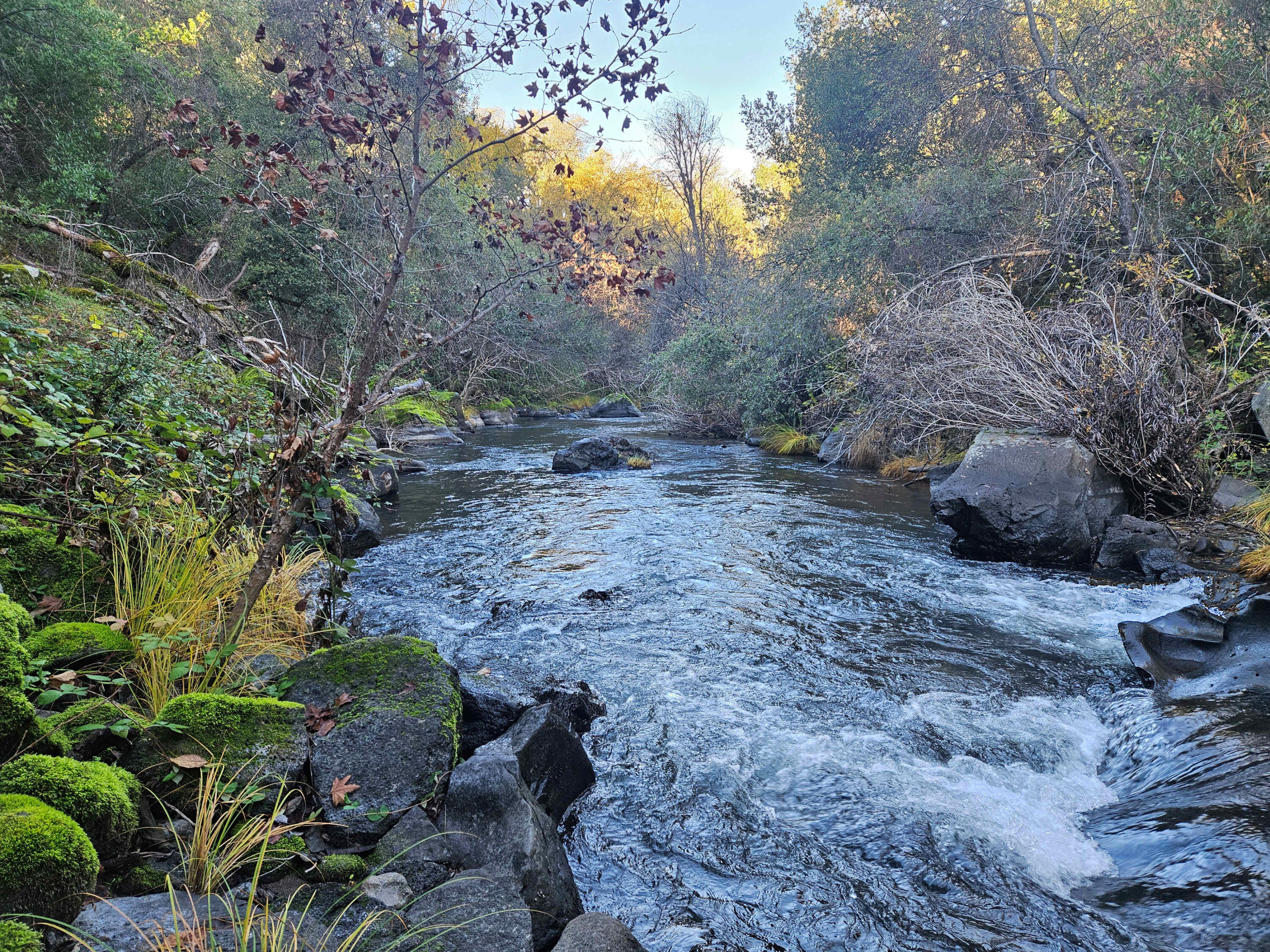 21675 Wildcat Road Shingletown, CA 96088 - Photo 4 of 65 a view of an outdoor space