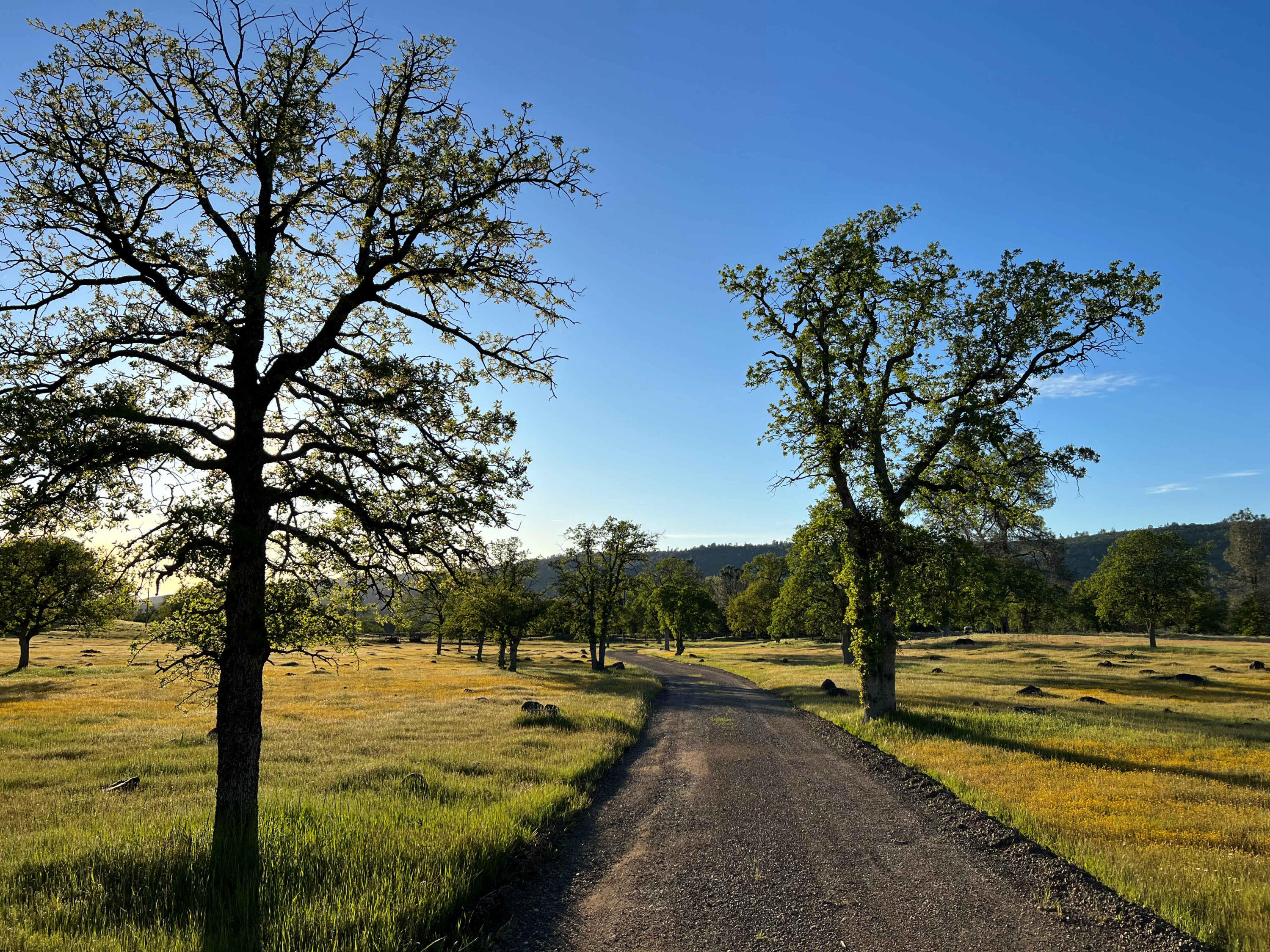 21675 Wildcat Road Shingletown, CA 96088 - Photo 44 of 65 Road on property
