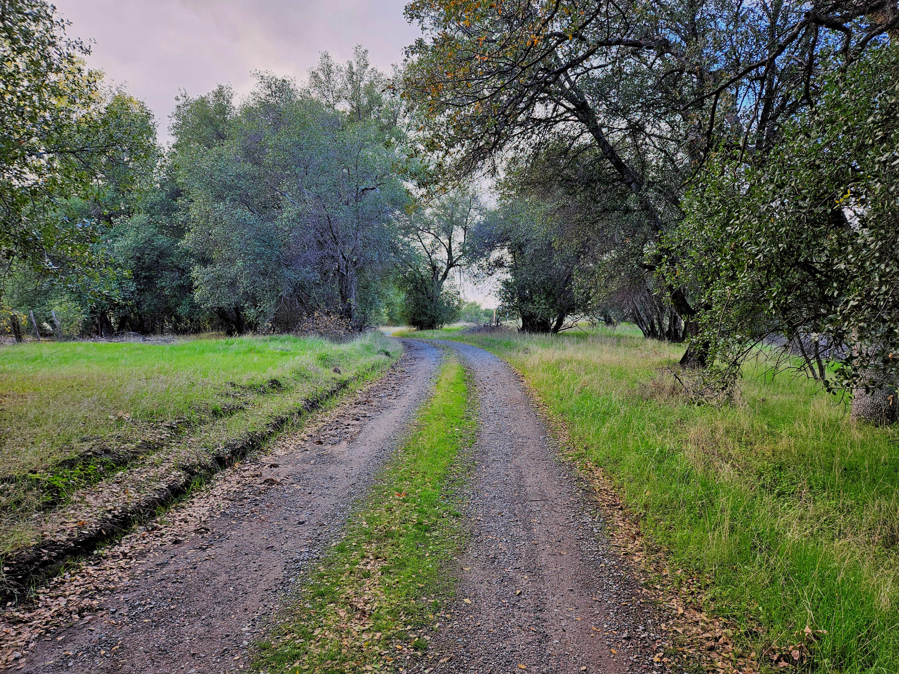 21675 Wildcat Road Shingletown, CA 96088 - Photo 45 of 65 Road past mobile