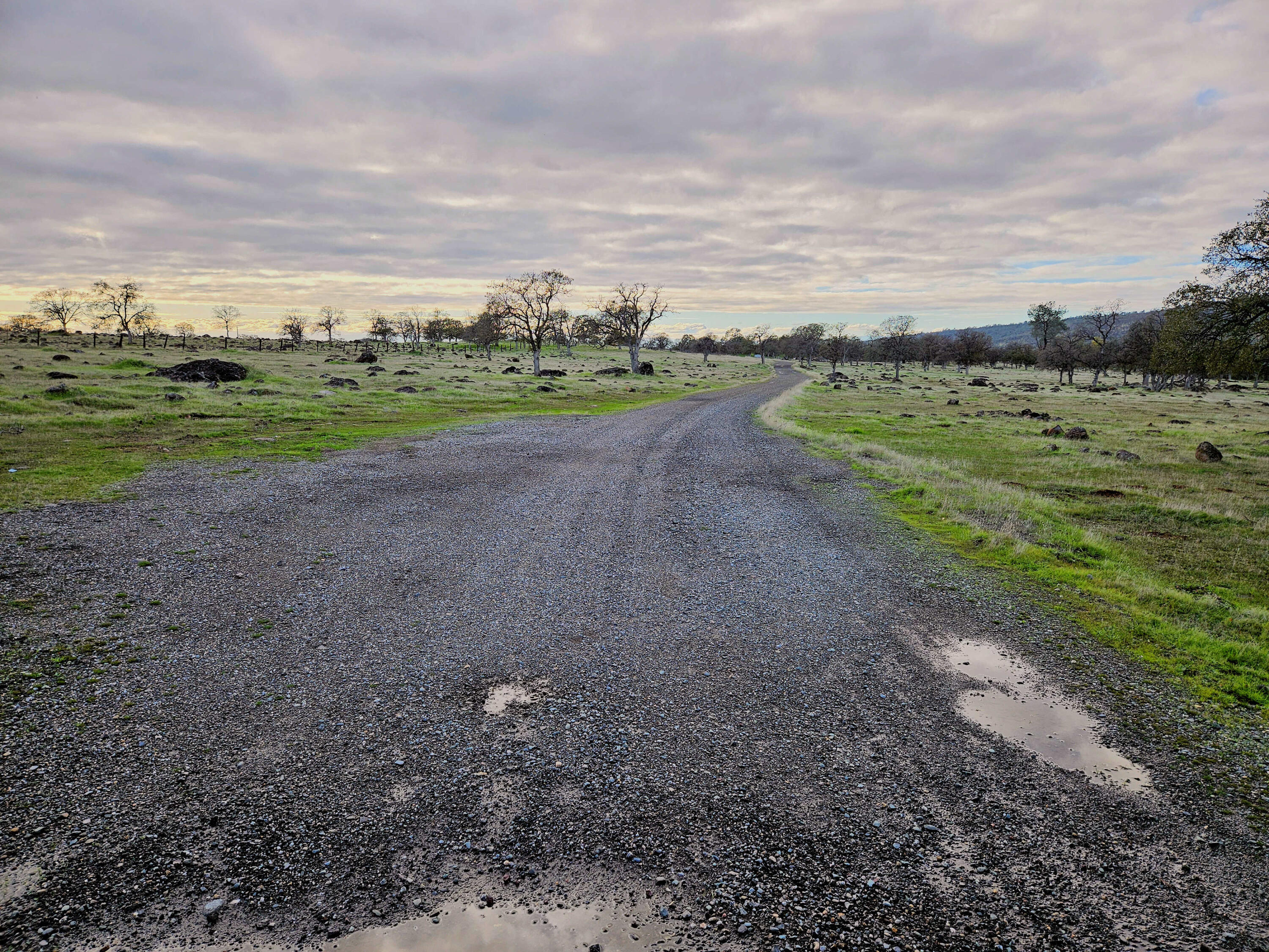21675 Wildcat Road Shingletown, CA 96088 - Photo 46 of 65 a view of a field with an trees