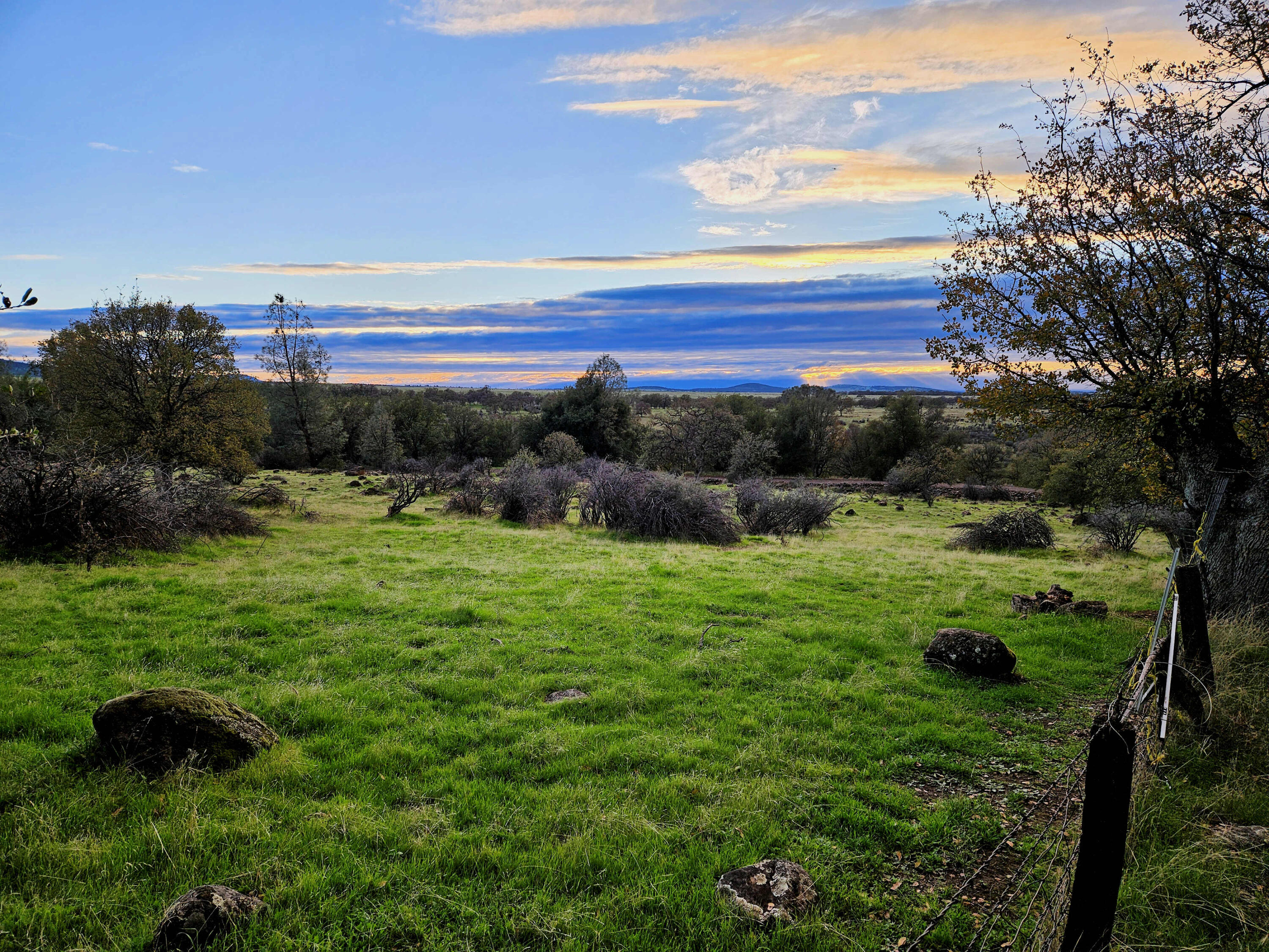 21675 Wildcat Road Shingletown, CA 96088 - Photo 53 of 65 View to south