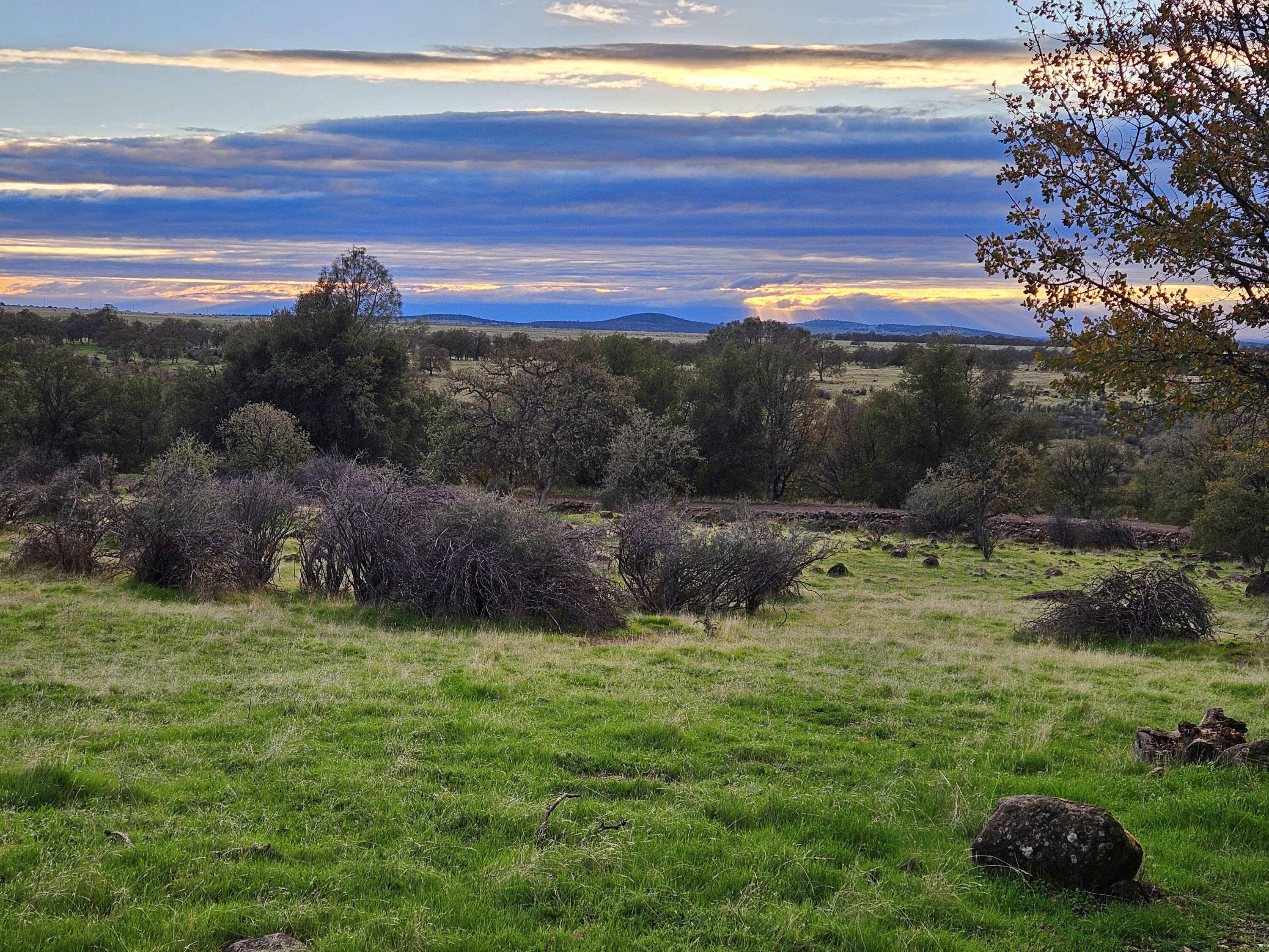 21675 Wildcat Road Shingletown, CA 96088 - Photo 54 of 65 view to SW