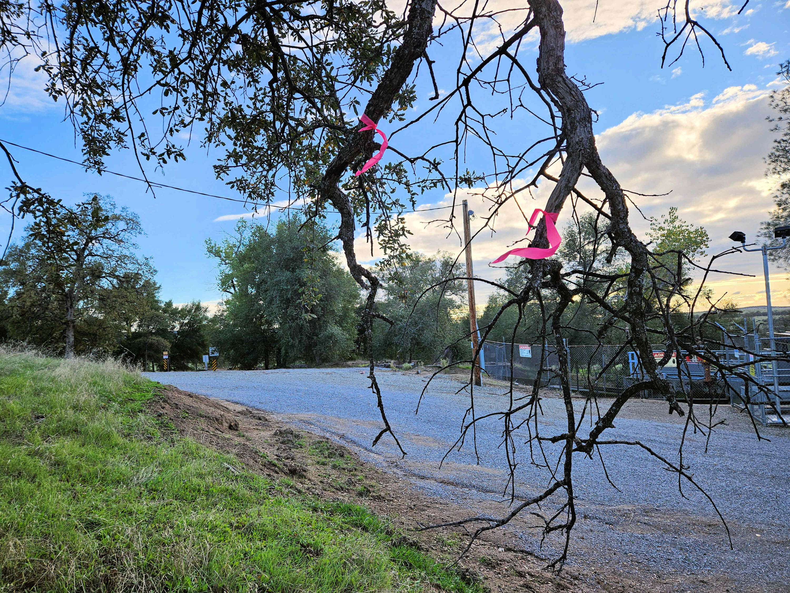 21675 Wildcat Road Shingletown, CA 96088 - Photo 59 of 65 a view of swimming pool with a yard