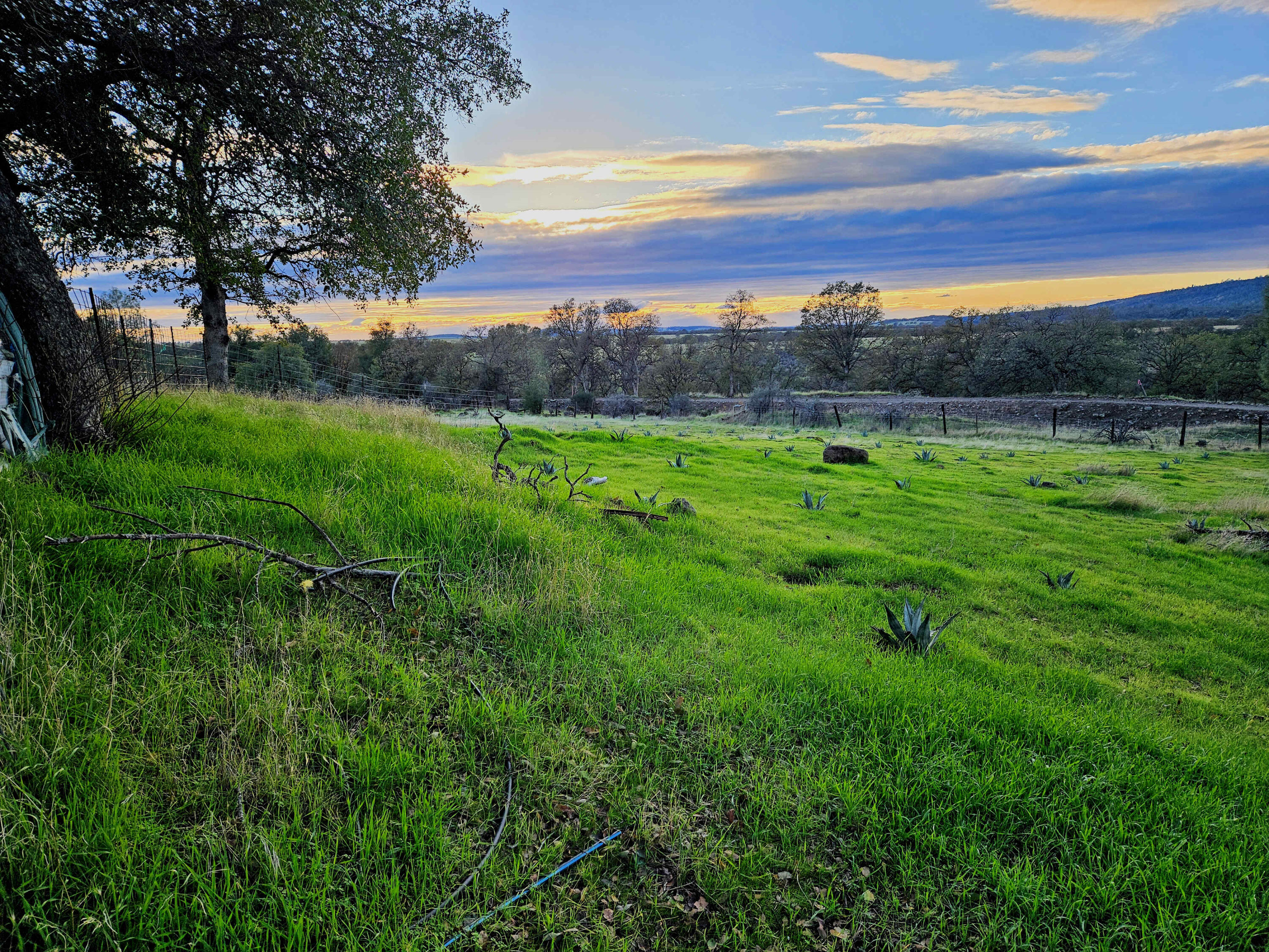 21675 Wildcat Road Shingletown, CA 96088 - Photo 6 of 65 a view of an outdoor space and a yard