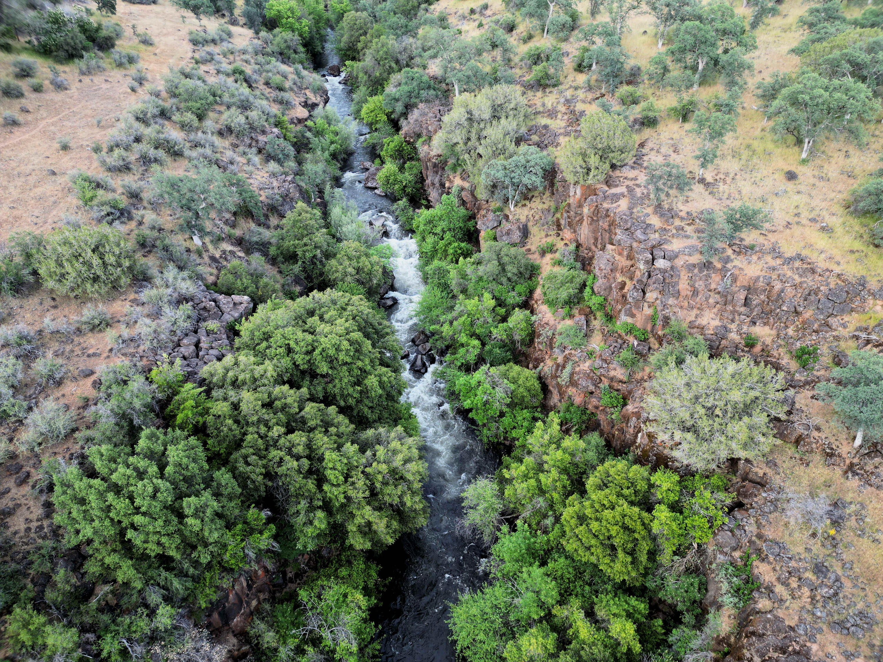 21675 Wildcat Road Shingletown, CA 96088 - Photo 7 of 65 an aerial view of residential house with outdoor space and trees all around