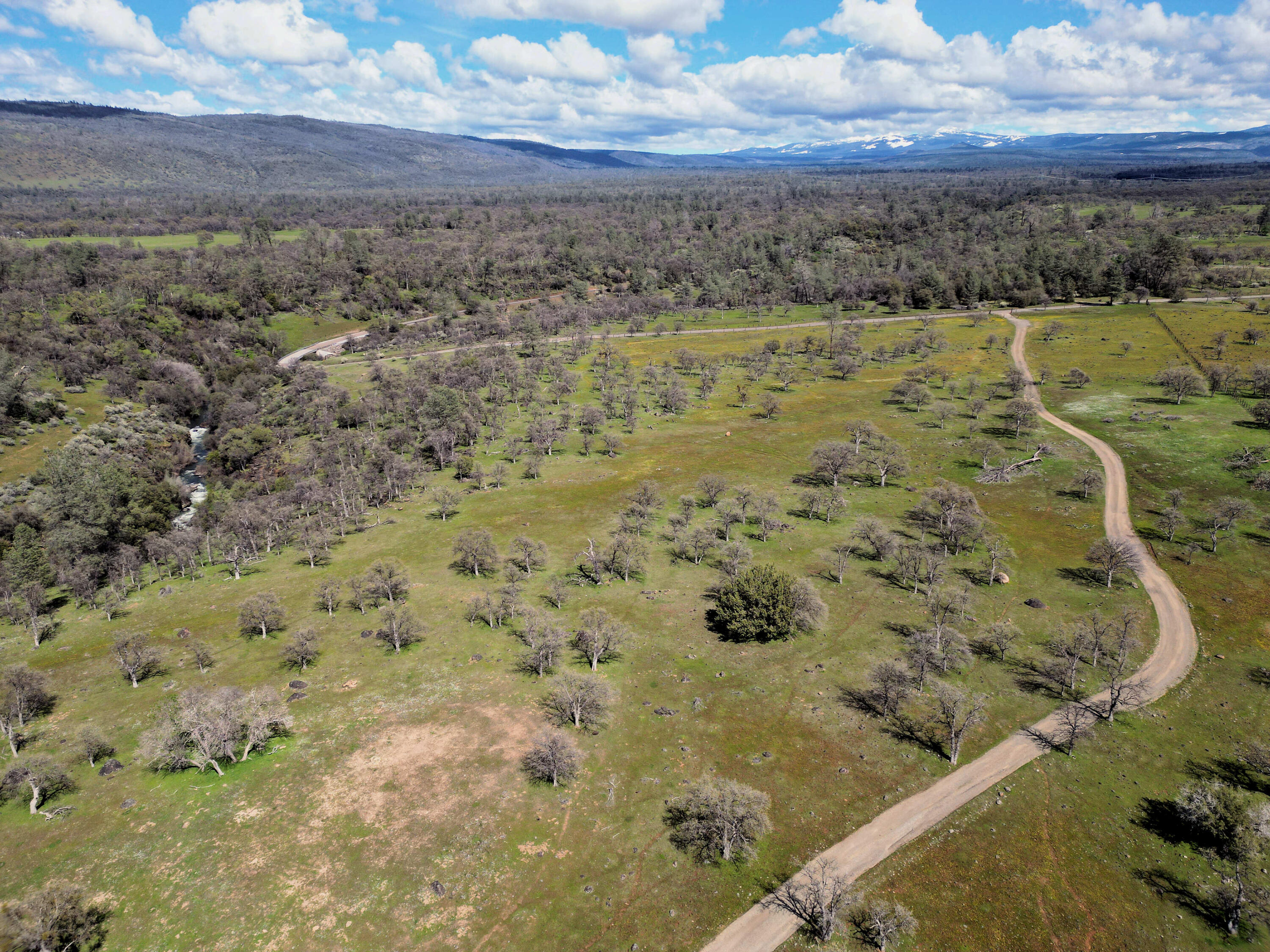 21675 Wildcat Road Shingletown, CA 96088 - Photo 9 of 65 Battle Creek-driveway-Wildcat Rd