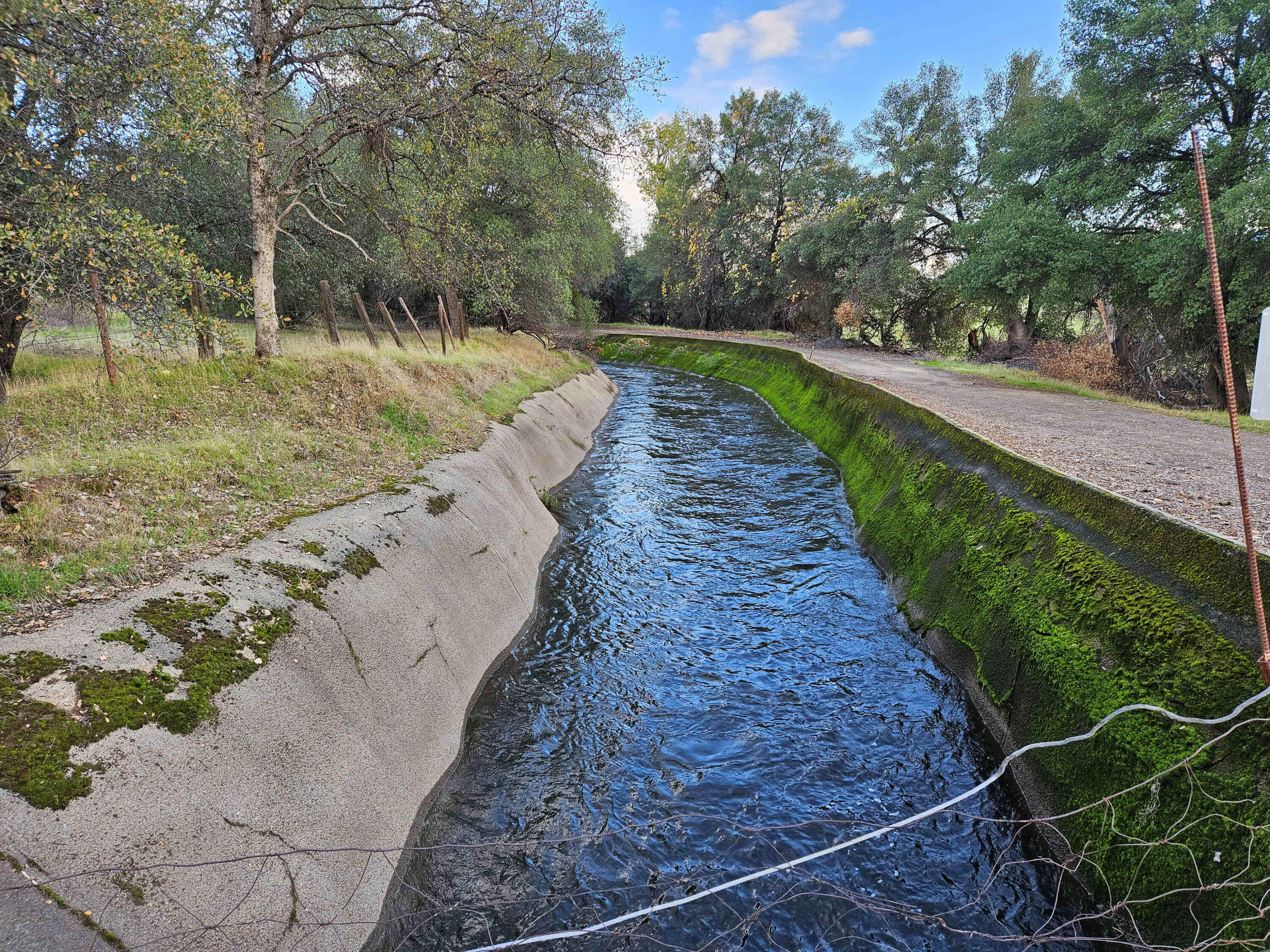 21675 Wildcat Road Shingletown, CA 96088 - Photo 10 of 65 a view of a pathway with a yard