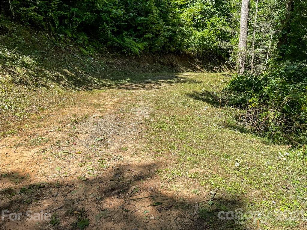 0 Burnette Reeves Road Leicester, NC 28748 - Photo 14 of 17 a view of a yard with plants and trees