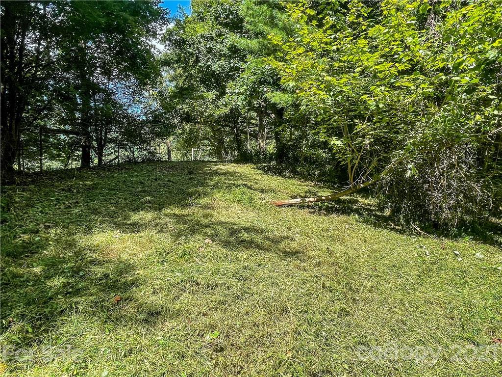 0 Burnette Reeves Road Leicester, NC 28748 - Photo 8 of 17 a view of a yard with a tree