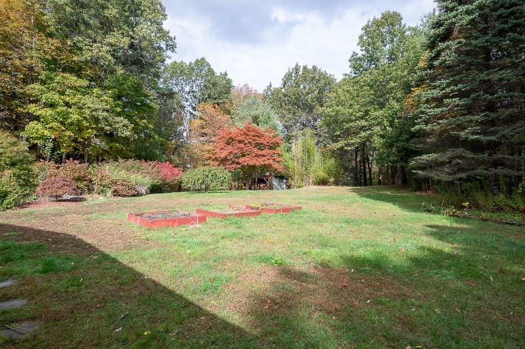 46 Farm Road Bolton, MA 01740 - Photo 37 of 41 a view of green field