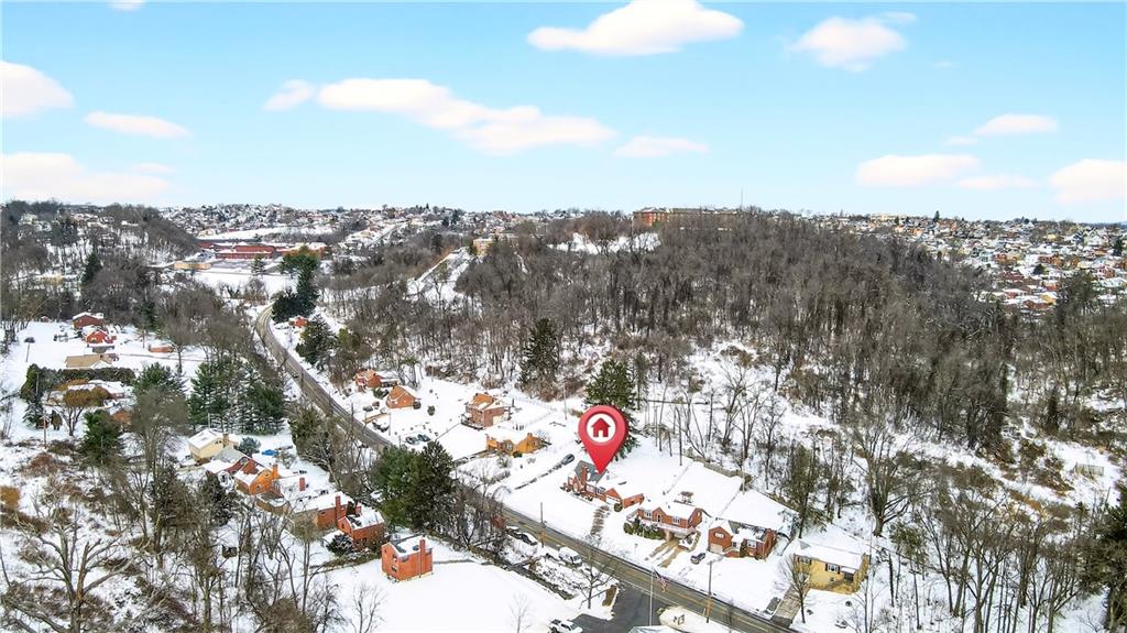 746 McNeilly Road Pittsburgh, PA 15226 - Photo 44 of 47 a view of city and mountain