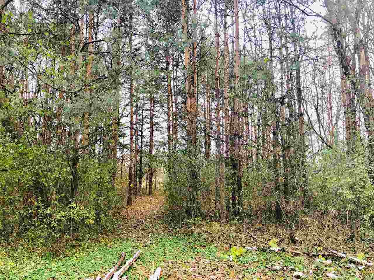5400 East Coldwater Road Flint, MI 48506 - Photo 42 of 53