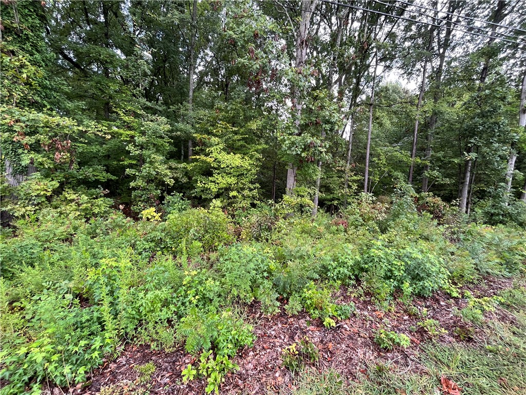 0 Dogwood Circle Clinton, SC 29325 - Photo 4 of 4