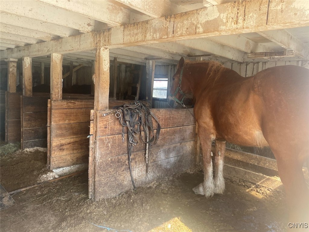 4479 Carson Road Allen, NY 14709 - Photo 26 of 35