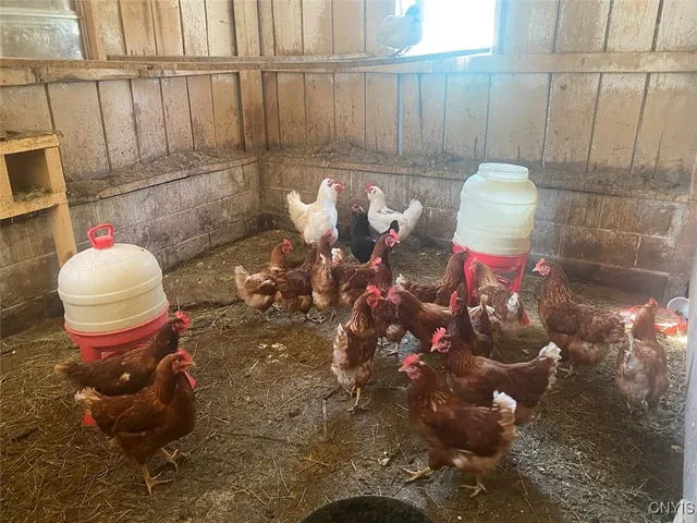 $204,900 | 4479 Carson Road, Allen, NY 14709