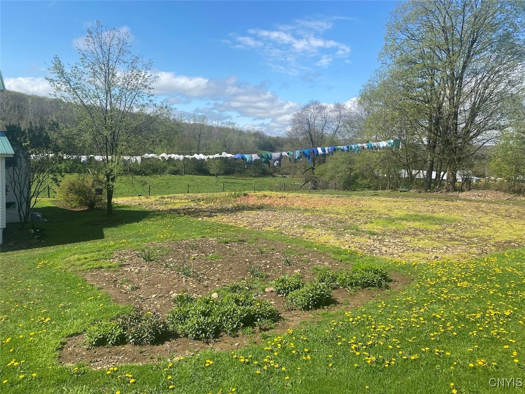 4479 Carson Road Allen, NY 14709 - Photo 33 of 35