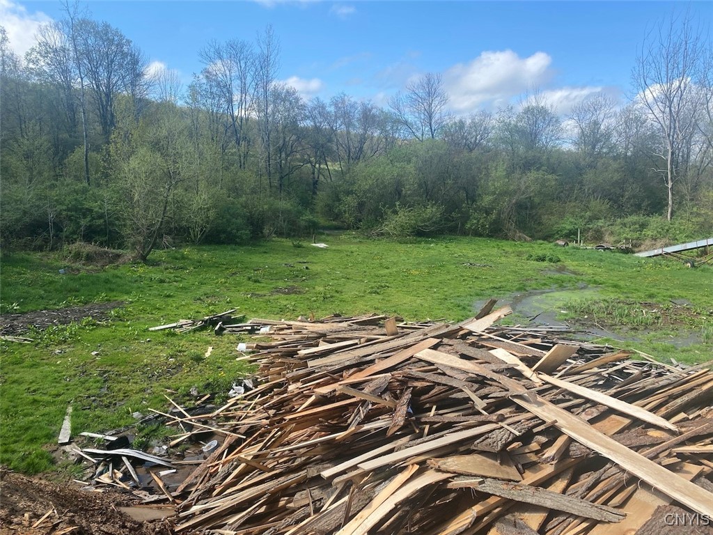 4479 Carson Road Allen, NY 14709 - Photo 34 of 35