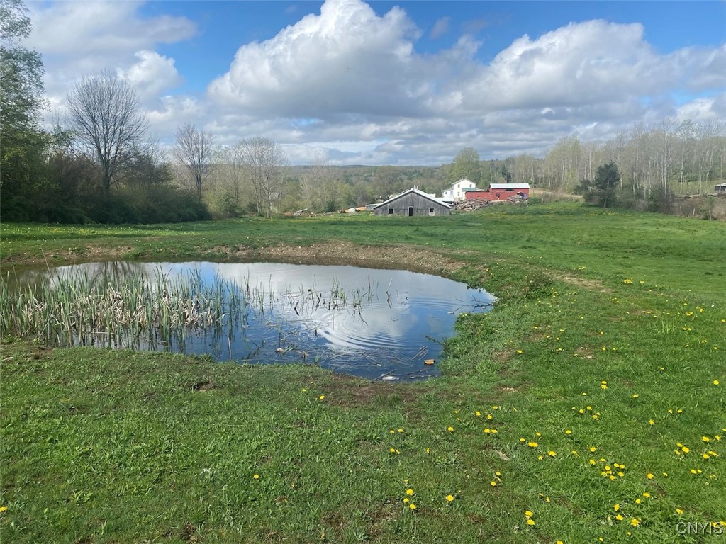 4479 Carson Road Allen, NY 14709 - Photo 35 of 35