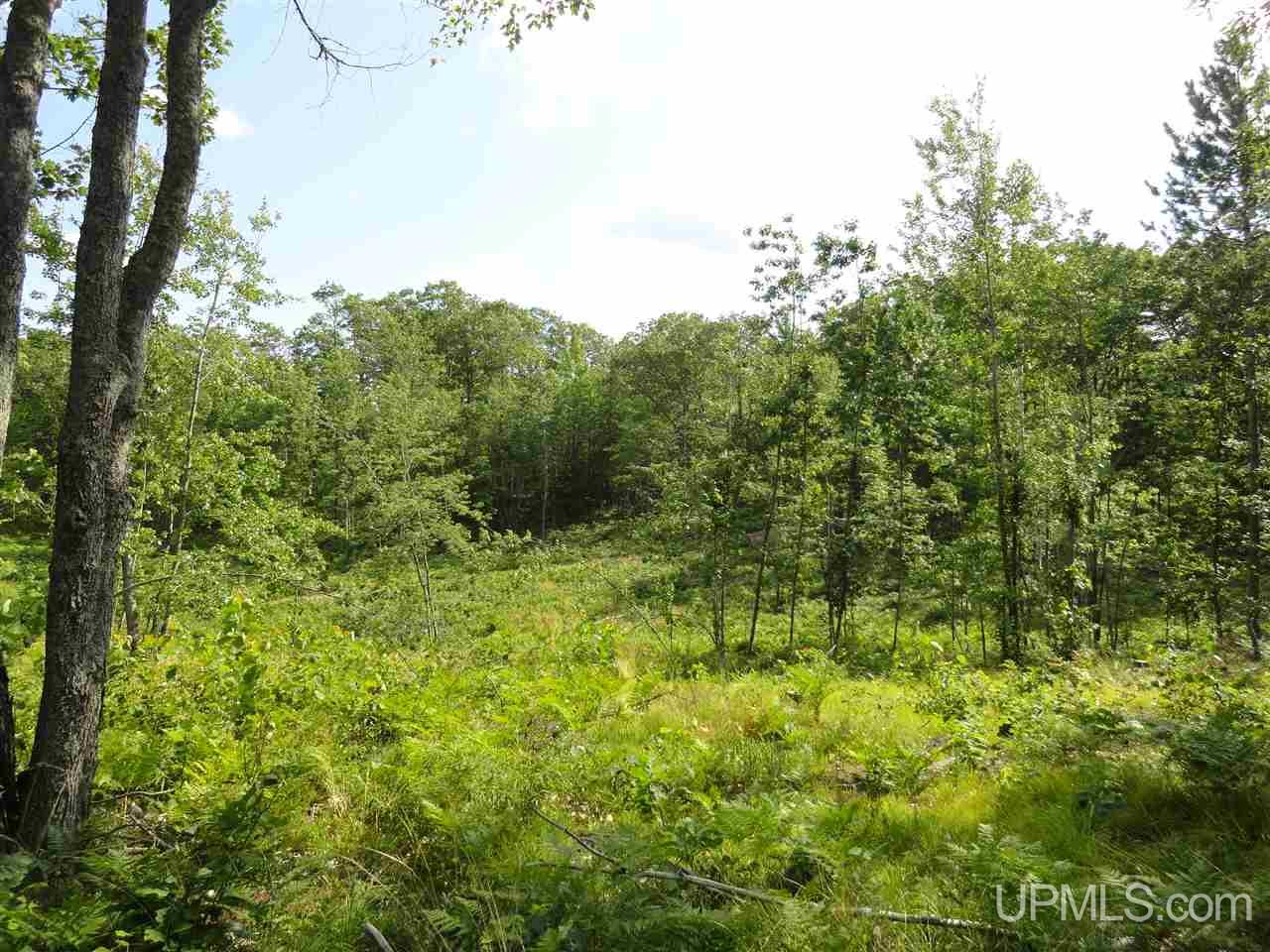 143-acres County Rd FF Republic, MI 49879 - Photo 3 of 18