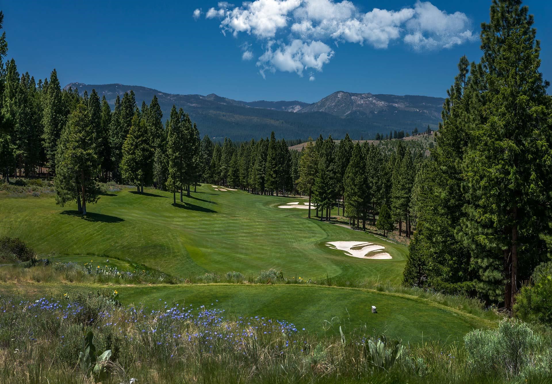 681 Clouds Rest Portola, CA 96122 - Photo 14 of 15 a view of a golf club with a big yard