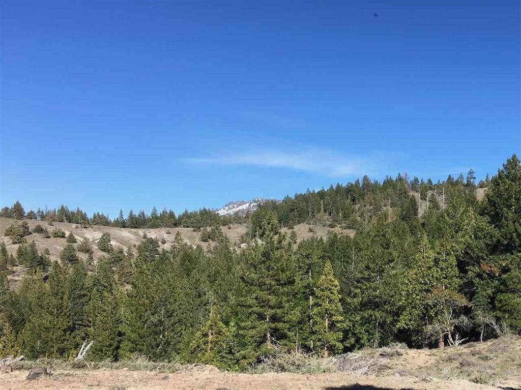 681 Clouds Rest Portola, CA 96122 - Photo 3 of 15 a view of a city