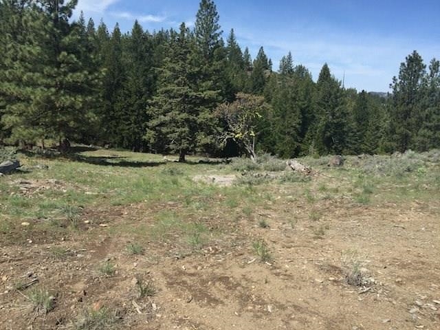 681 Clouds Rest Portola, CA 96122 - Photo 6 of 15 a view of a yard with a tree