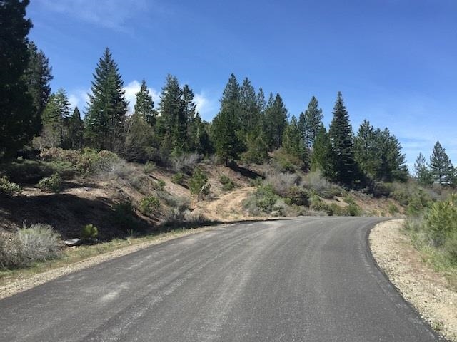 681 Clouds Rest Portola, CA 96122 - Photo 8 of 15 a view of a road with a yard