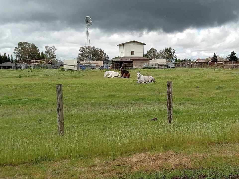 6647 20th Street Rio Linda, CA 95673 - Photo 14 of 15