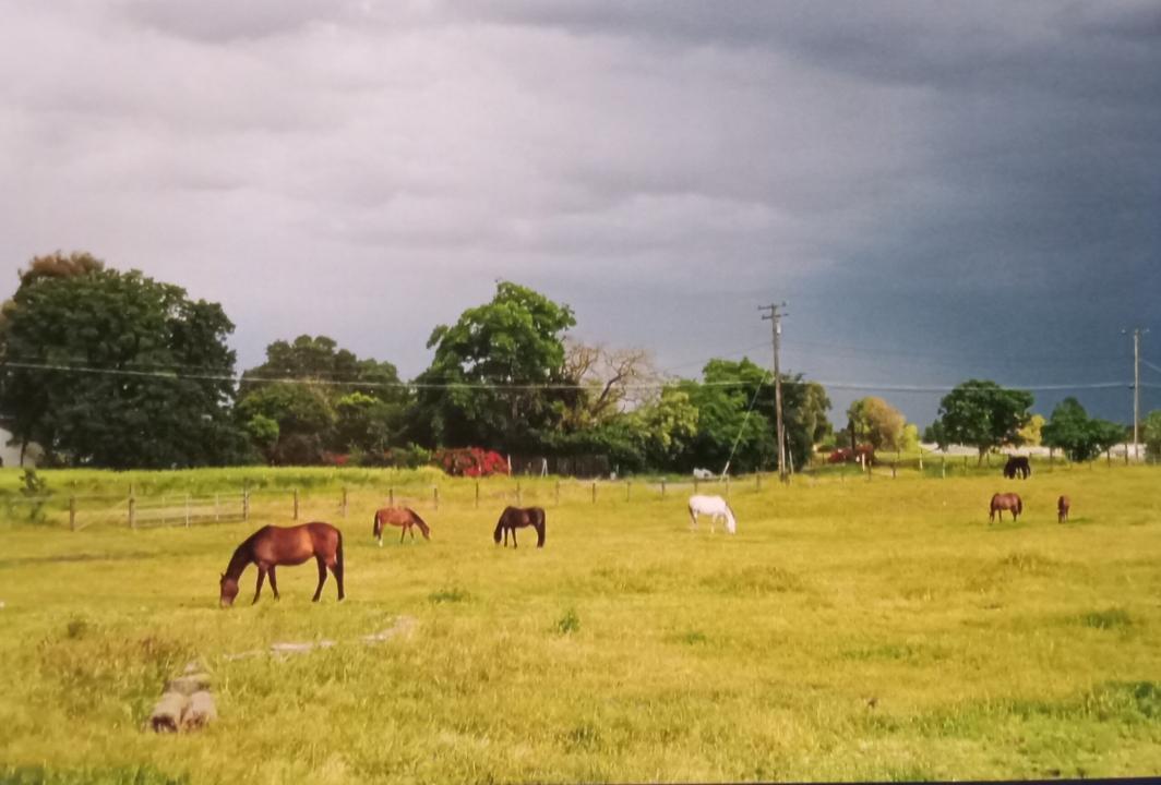 6647 20th Street Rio Linda, CA 95673 - Photo 15 of 15