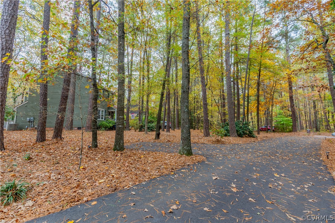3913 Pebble Creek Road Midlothian, VA 23112 - Photo 4 of 41