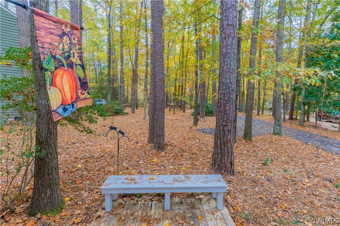 3913 Pebble Creek Road Midlothian, VA 23112 - Photo 6 of 41 a view of a outdoor space