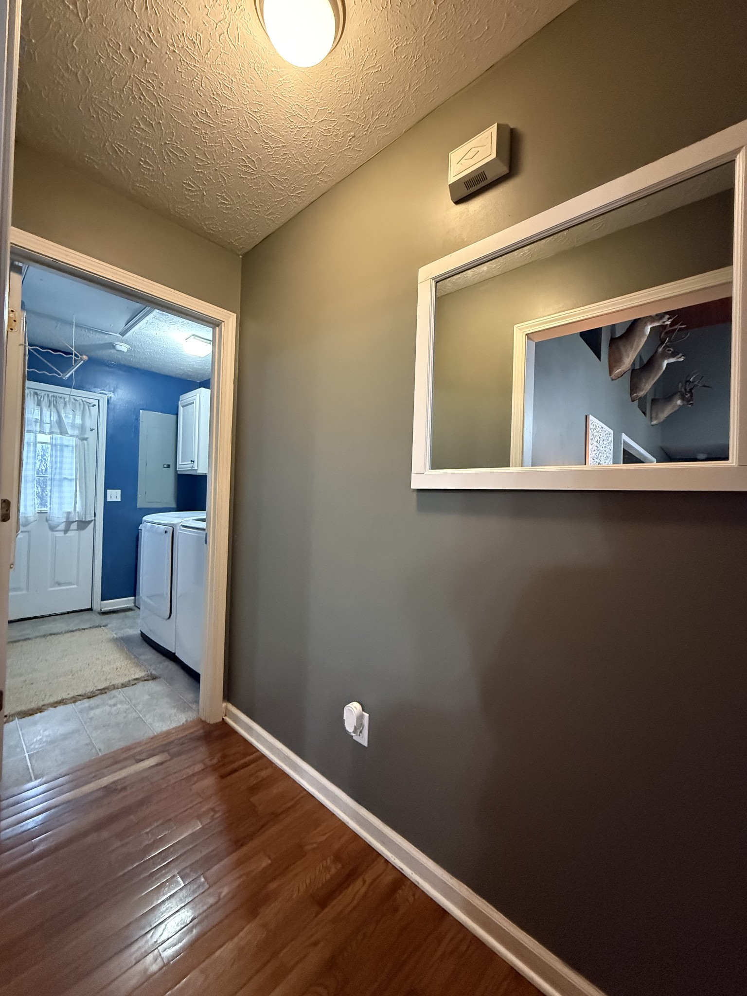 144 B Leo Carter Road Bethpage, TN 37022 - Photo 18 of 34 a view of a hallway with wooden floor and a cabinet