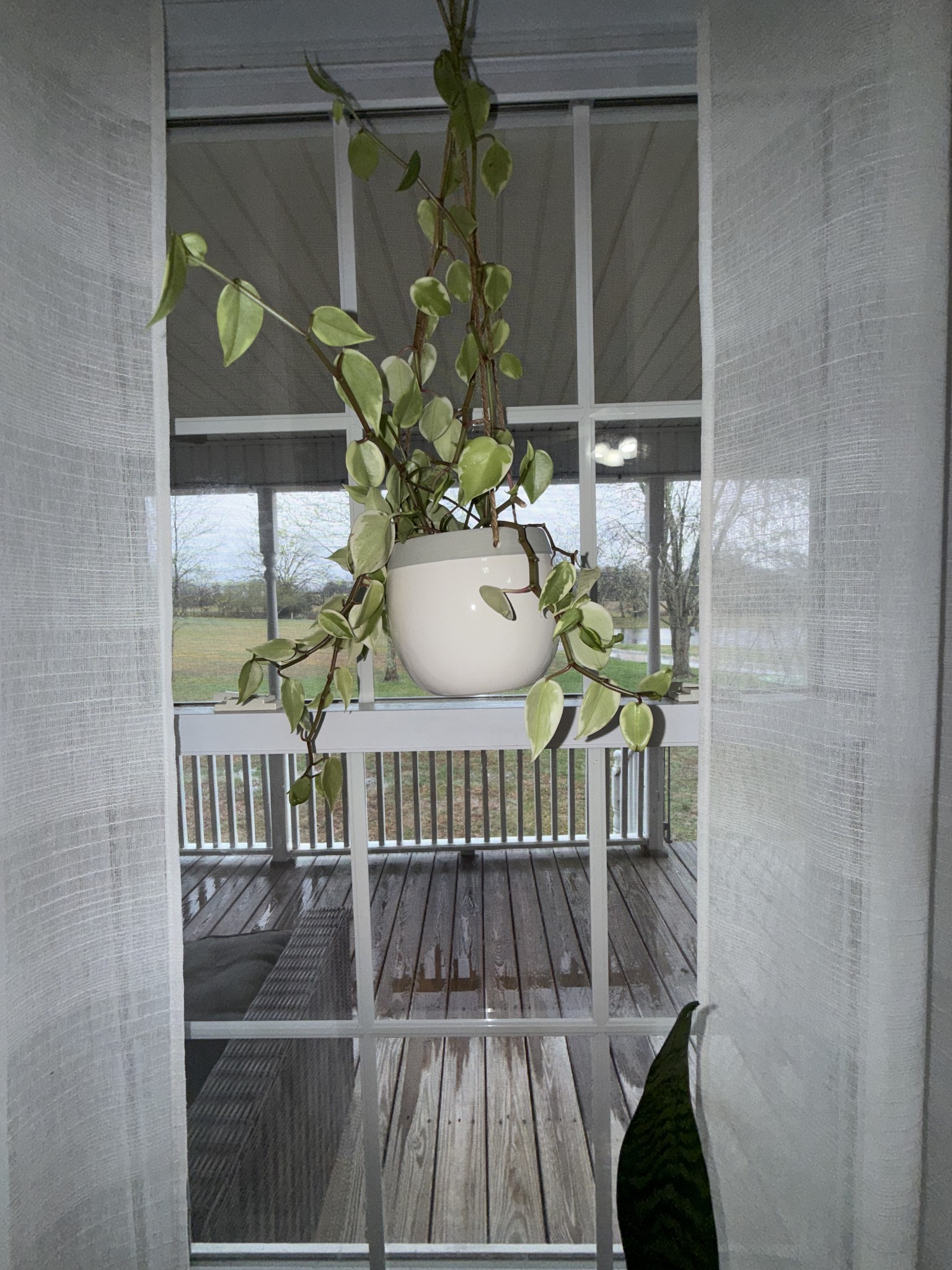 144 B Leo Carter Road Bethpage, TN 37022 - Photo 21 of 34 a view of a balcony with chair
