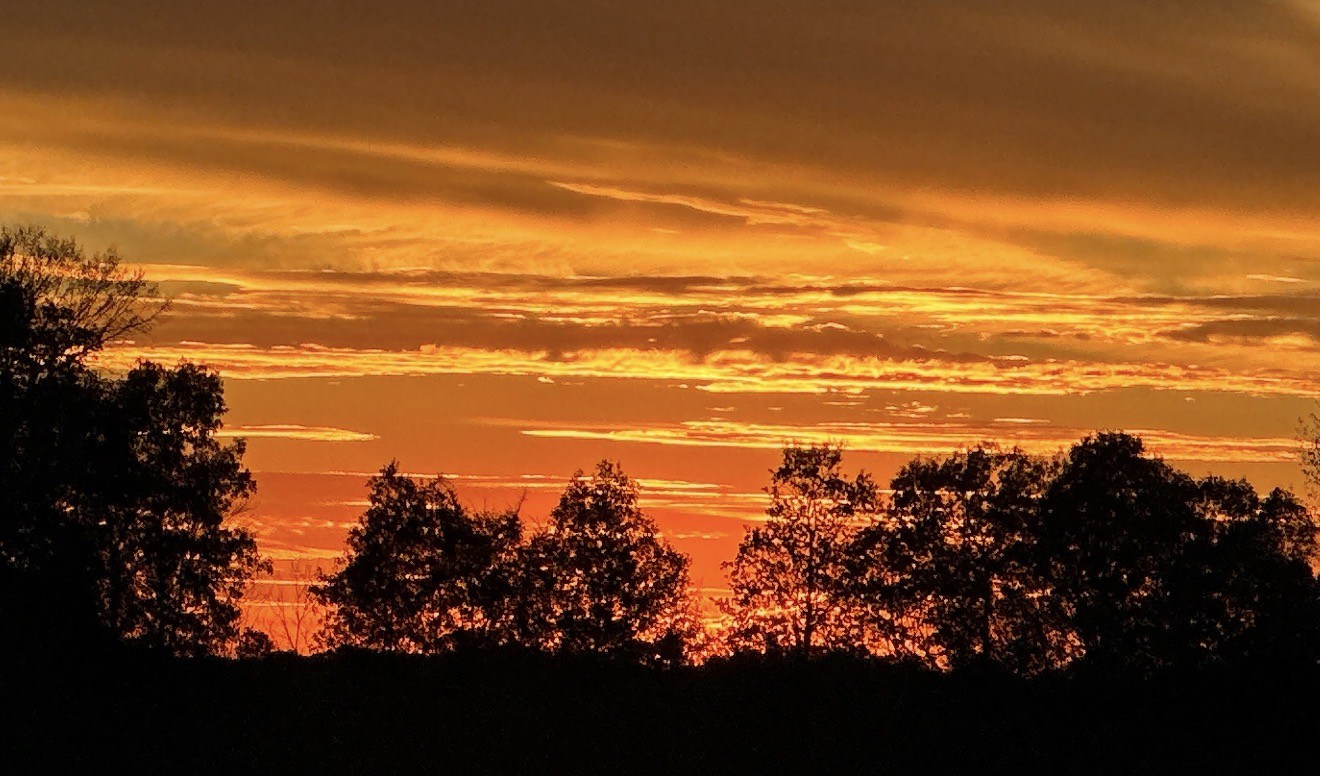 144 B Leo Carter Road Bethpage, TN 37022 - Photo 31 of 34