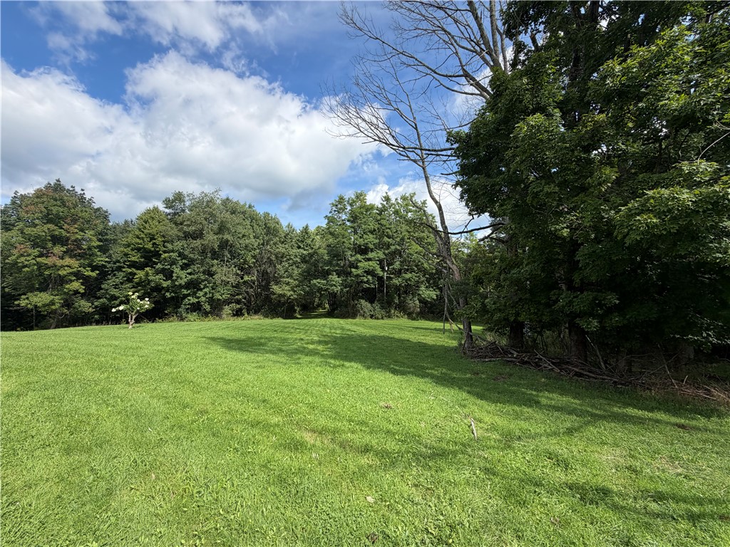 379 Watrus Road Greene, NY 13778 - Photo 32 of 41 Gallery Image 32