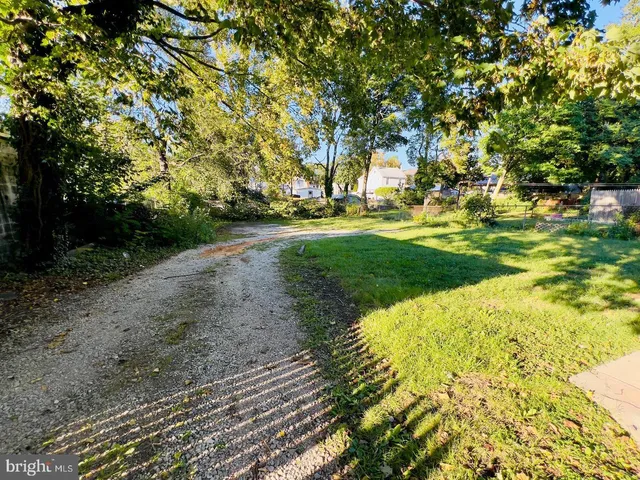 a view of yard with tree