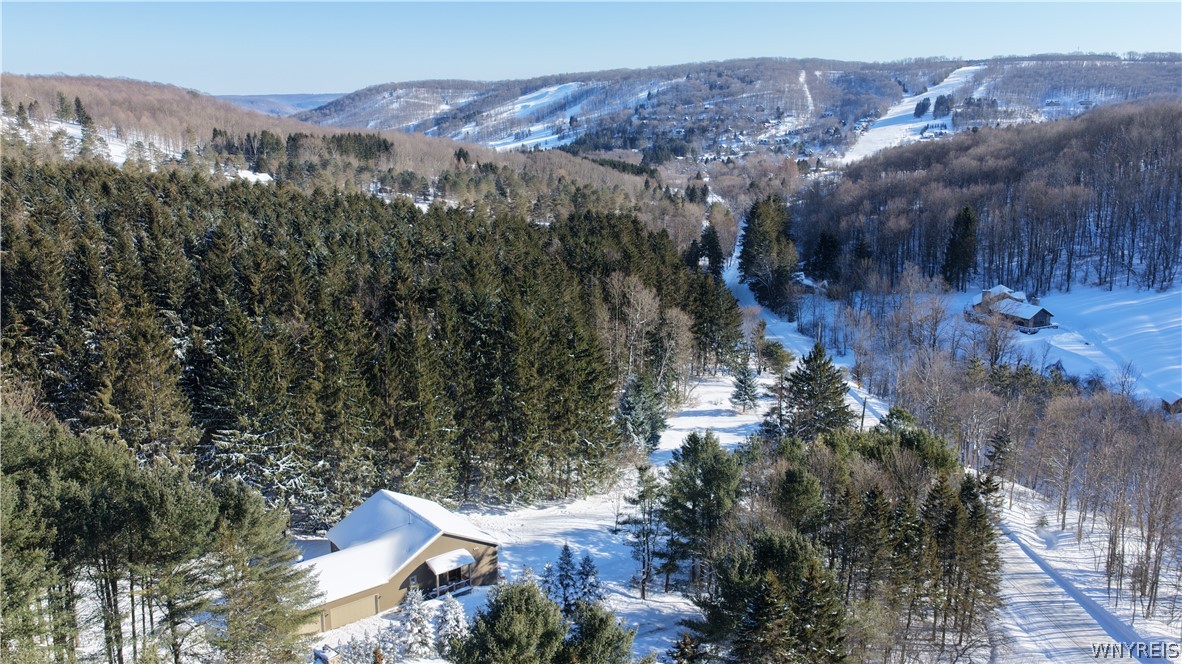 6434 Hencoop Hollow Road Mansfield, NY 14731 - Photo 45 of 49