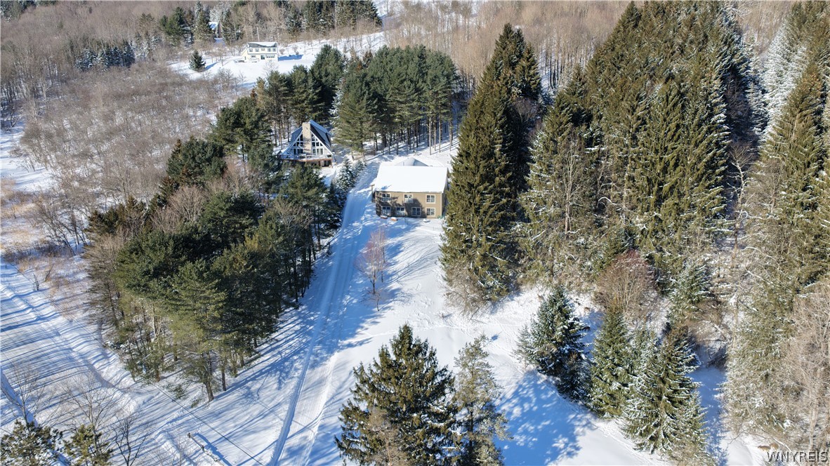 6434 Hencoop Hollow Road Mansfield, NY 14731 - Photo 47 of 49