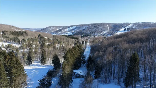 $990,000 | 6434 Hencoop Hollow Road, Mansfield, NY 14731