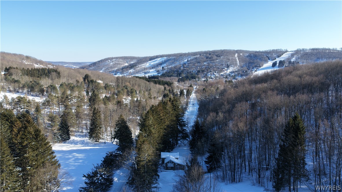 6434 Hencoop Hollow Road Mansfield, NY 14731 - Photo 48 of 49