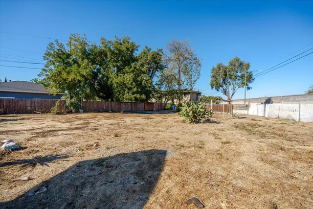 a view of a yard with a tree