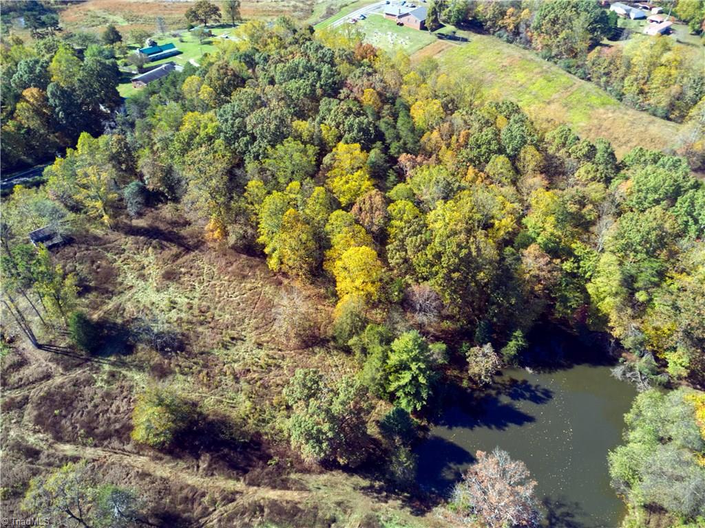 1250 Pilot Power Dam Road Pilot Mountain, NC 27041 - Photo 4 of 11 Gallery Image 4