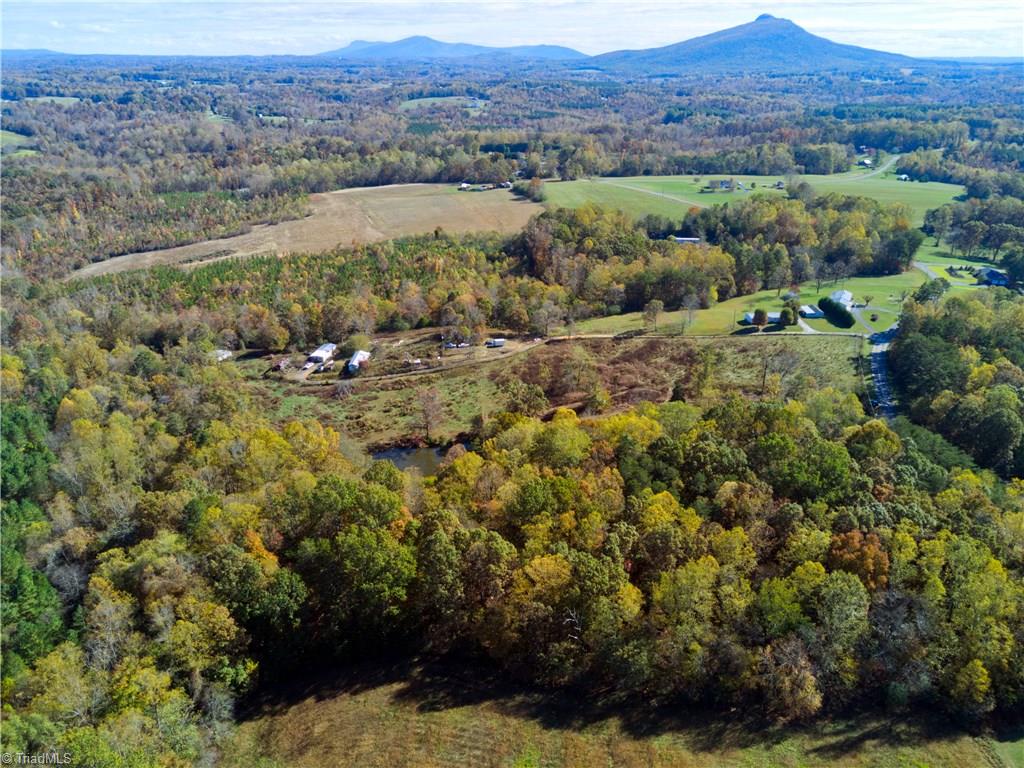 1250 Pilot Power Dam Road Pilot Mountain, NC 27041 - Photo 6 of 11 Gallery Image 6