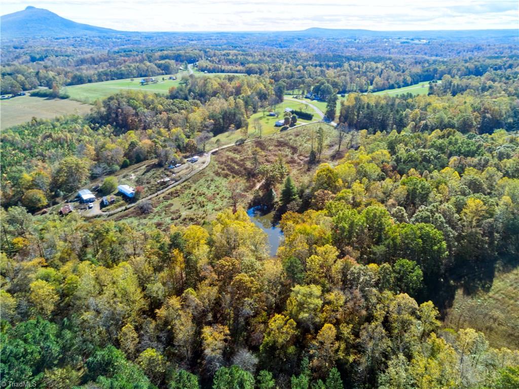 1250 Pilot Power Dam Road Pilot Mountain, NC 27041 - Photo 7 of 11 Gallery Image 7