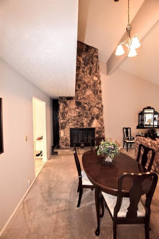 824 Rhea Springs Road Spring City, TN 37381 - Photo 18 of 49 20191639-17
