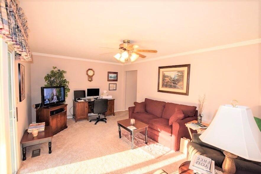 824 Rhea Springs Road Spring City, TN 37381 - Photo 22 of 49 20191639-21