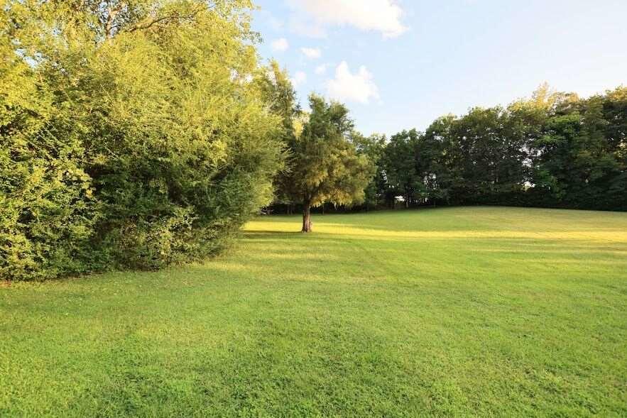824 Rhea Springs Road Spring City, TN 37381 - Photo 33 of 49 20191639-33